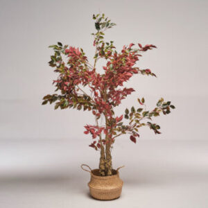 Flower Tree Eukaliptus 180 cm