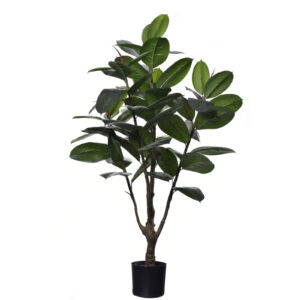Tree Fikus 140 cm