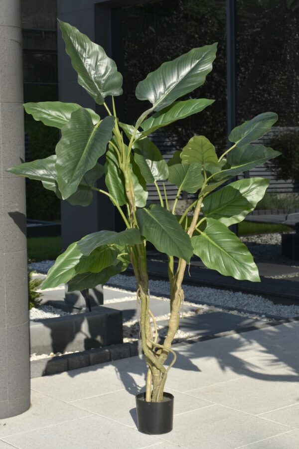 Tree Sterlicja 190 cm - obrazek 4