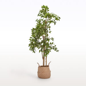 Flower Tree L2 170cm