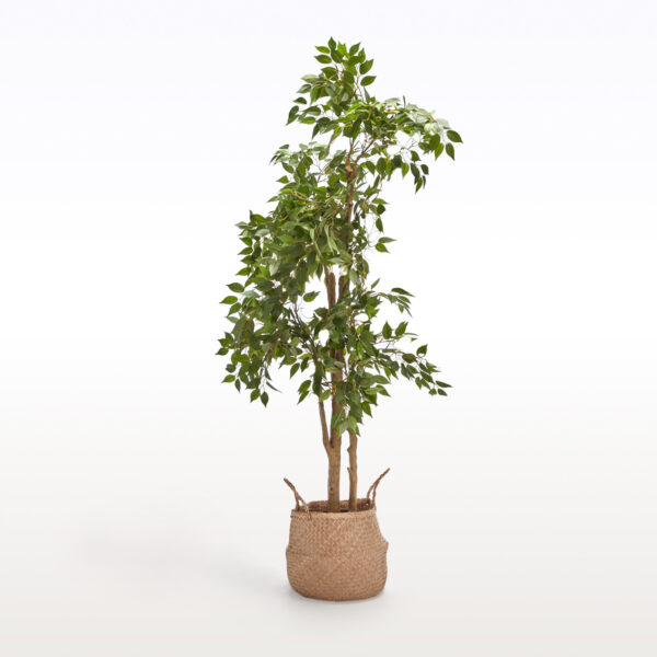 Flower Tree L2 170cm