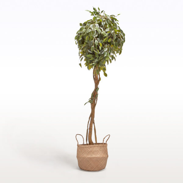 Flower Tree XL 180cm