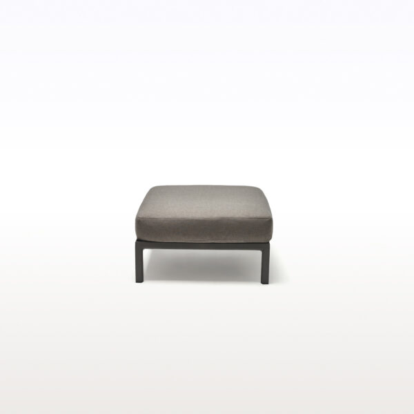 Massimo Module Puf