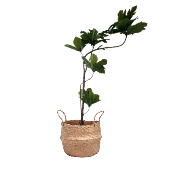 Chlebowiec 200 cm